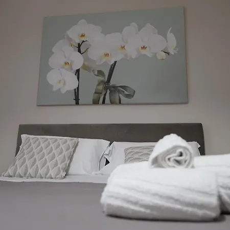 Colomba 3* Agrigente